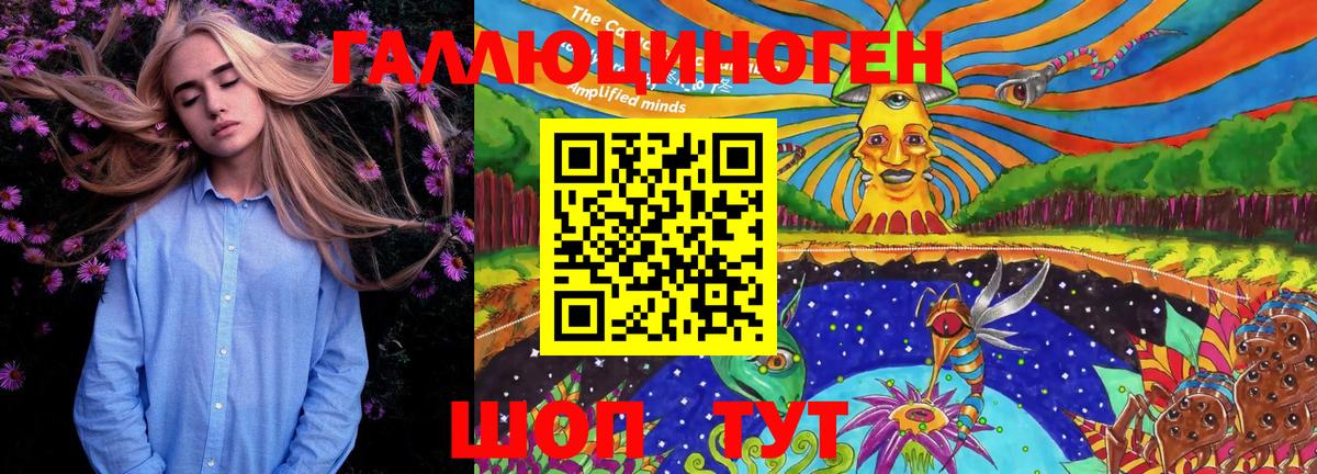 Псилоцибиновые грибы GOLDEN TEACHER  купить наркотики сайты  Сальск  Галлюциногенные грибы прущие грибы  Вход с VPN 