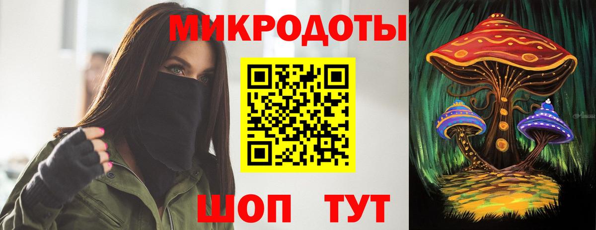 Галлюциногенные грибы Psilocybine cubensis Сальск