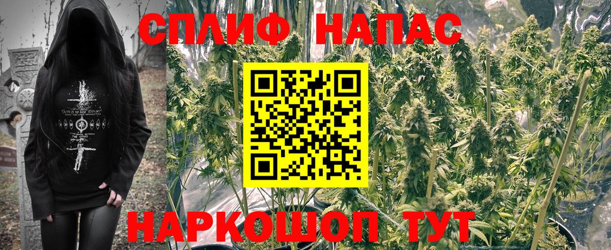 МЕФ кристаллы  Сальск  Купить наркотики цена  COCAIN  ГАШ  Вход с VPN  КОКАИН  Гашиш  Лсд 25 